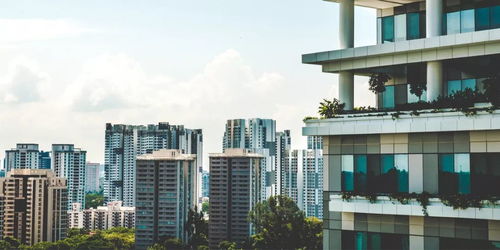 重慶APP開發(fā)公司推薦 派維特軟件詳解物業(yè)與地產APP解決方案